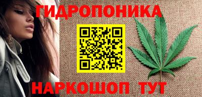 ГАЛЛЮЦИНОГЕННЫЕ ГРИБЫ Малгобек